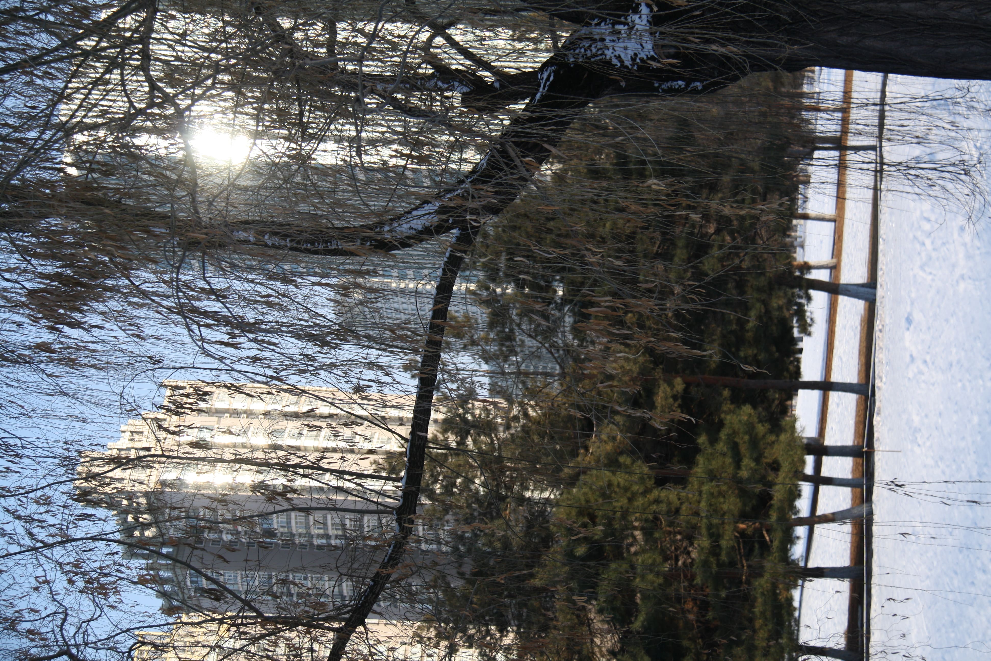 hiver